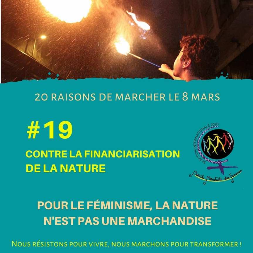 Raison 20 - Financiarisation de la nature.jpg